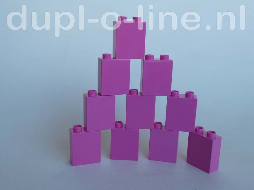 duplo-blokken-roze-set-voordeliger-tweedehands-losse-onderdelen-blokken